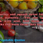 Squash Vegetable Quotes Tumblr