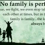 There Is No Perfect Family Quotes Pinterest