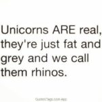 Unicorns Are Real Quotes Tumblr