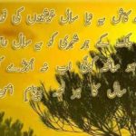 Urdu New Year Wishes Pinterest