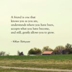 William Shakespeare Friendship Quotes