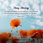 Words For Healing And Strength Pinterest